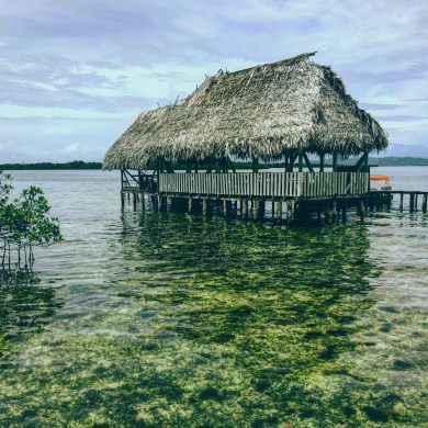 Isla caya zapatilla 2